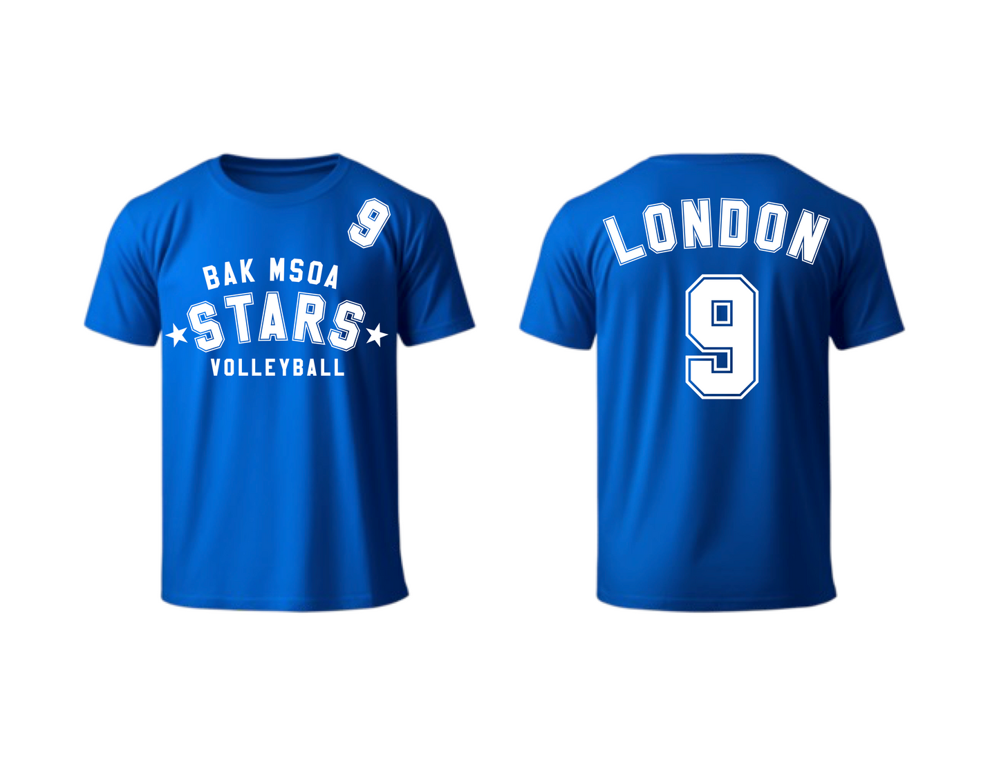 BAK PTO: Volleyball Blue V1