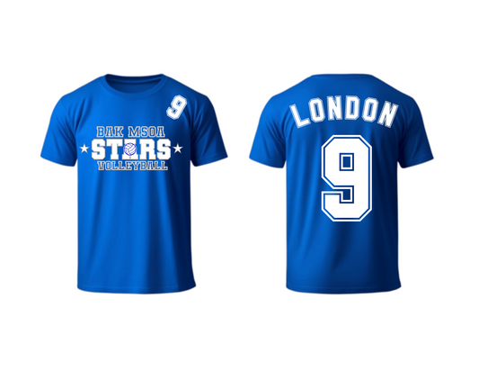 BAK: Volleyball Blue V2